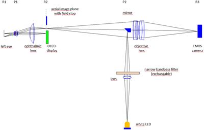 A multi-color video-ophthalmoscopes allows to measure the spectral distribution of light absorption of blood in the human retina